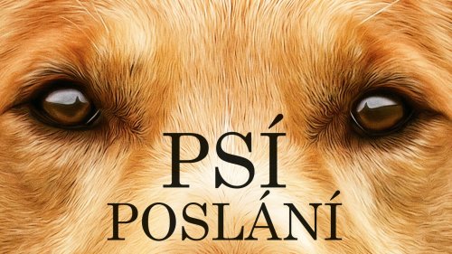 Psí poslání aneb byli jsme v kině